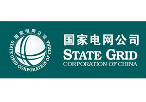 國家電網公司