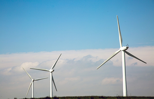 風力發電機為何不大量安裝？